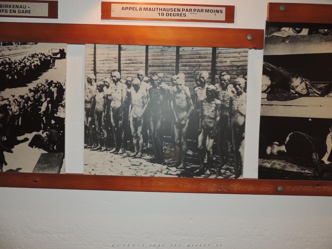 2019 04 28 TOULON HOMMAGE AUX VICTIMES DE LA DEPORTATION (33).JPG -           